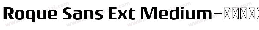 Roque Sans Ext Medium字体转换
